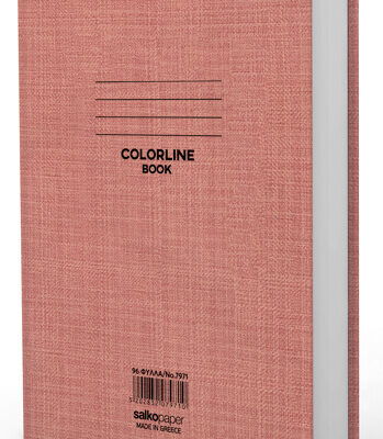 ΕΞΗΓΗΣΕΙΣ ΧΑΡΤΟΝΕ 17Χ25 96φ. ΛΕΥΚΑ COLORLINE (7791)